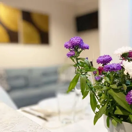 Exclusive 2br! Near City Center +netflix Apartment *